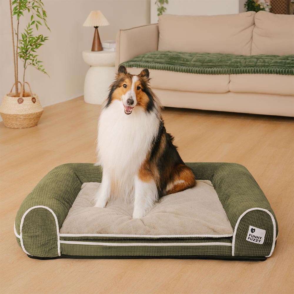 Sofa Flanelle Double Couche Orthopédique pour Chien | Accoudoirs Rembourrés, Chic, Lavable