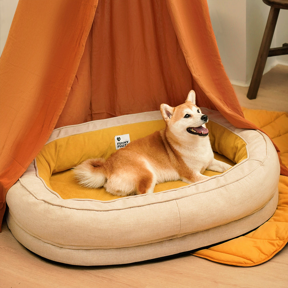 Lit Donut Moelleux pour Chien | Rembourrage 3D, Enveloppant, Lavable, Toutes Tailles