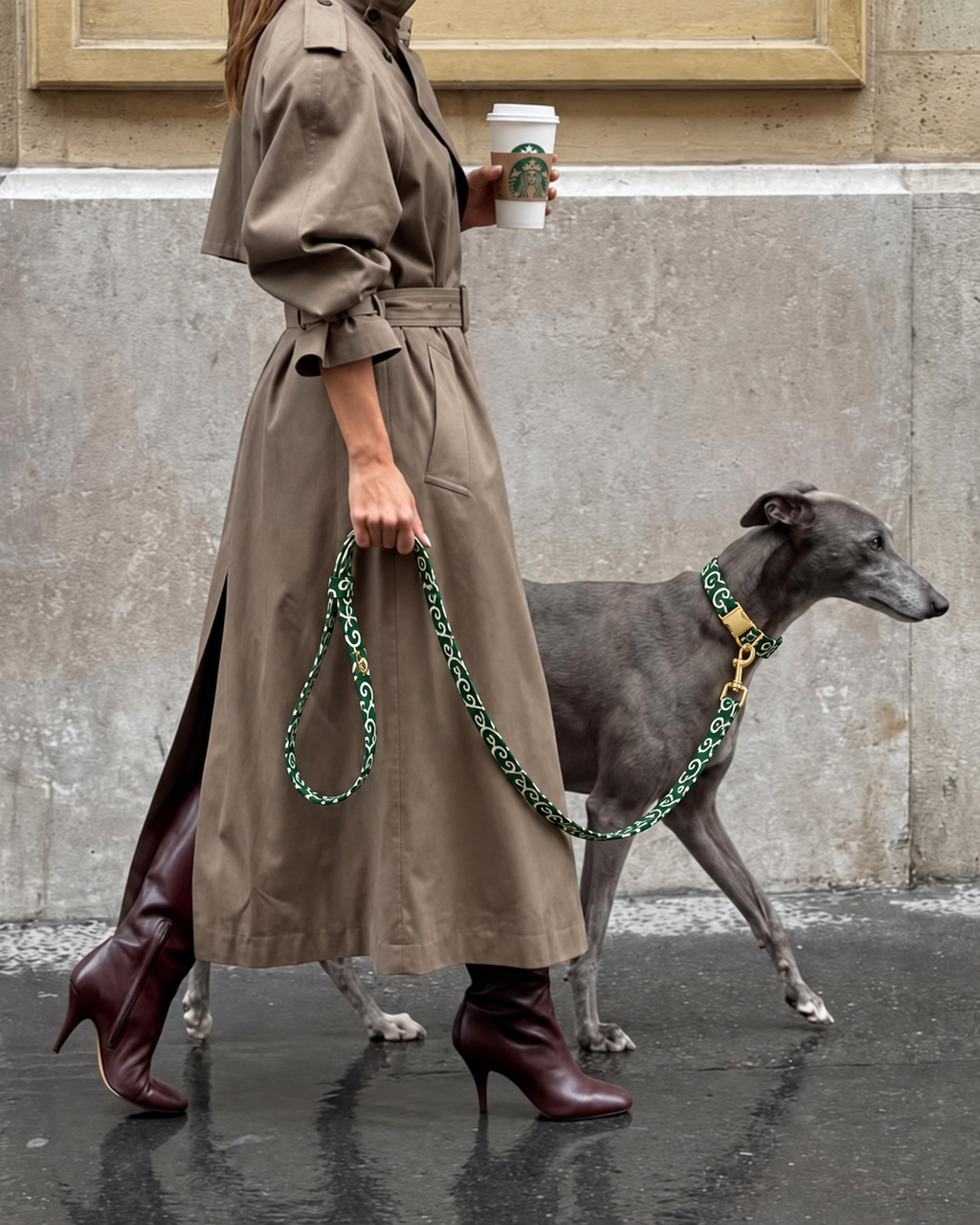 Laisse pour Chien Eden Vert | 1,50 m, Assortie Collier & Harnais