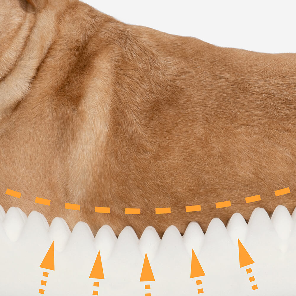 Lit Fausse Fourrure Petit Prix pour Chien | Rebords de Soutien, Doux, Toutes Tailles S à XXL
