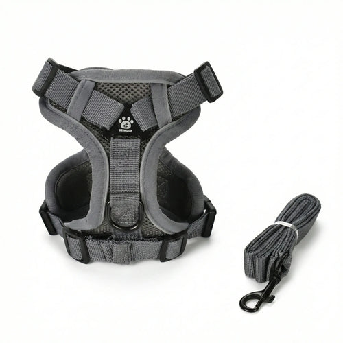 Kit harnais et laisse pour chien de couleur gris moderne, fabriqué en tissu maillé confortable.