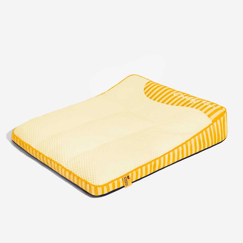 Lit Orthopédique Grand Format Rafraîchissant pour Chien Senior | Appui-Tête, Respirant, Antidérapant