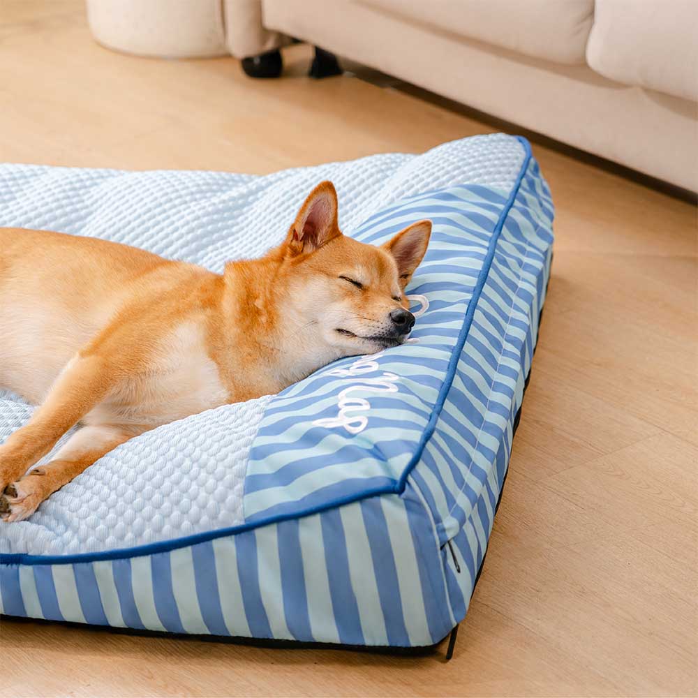 Lit Orthopédique Grand Format Rafraîchissant pour Chien Senior | Appui-Tête, Respirant, Antidérapant