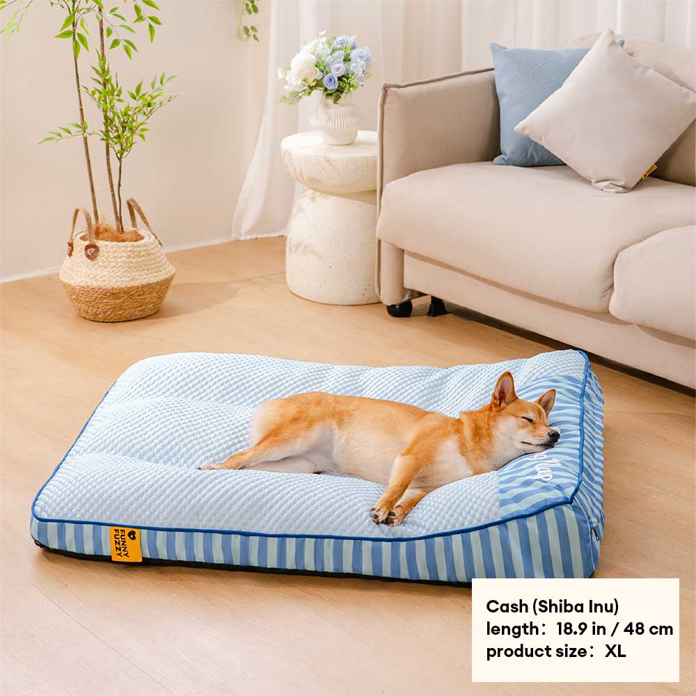 Lit Orthopédique Grand Format Rafraîchissant pour Chien Senior | Appui-Tête, Respirant, Antidérapant