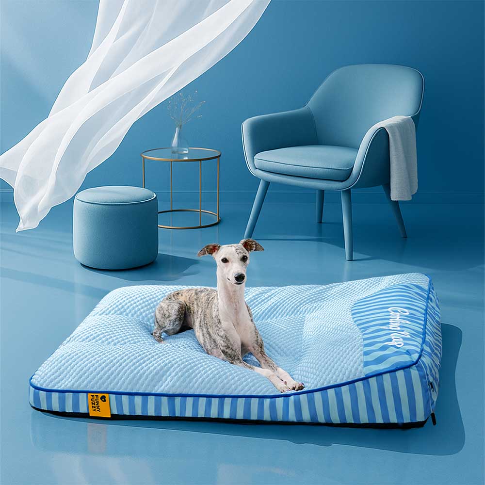 Lit Orthopédique Grand Format Rafraîchissant pour Chien Senior | Appui-Tête, Respirant, Antidérapant