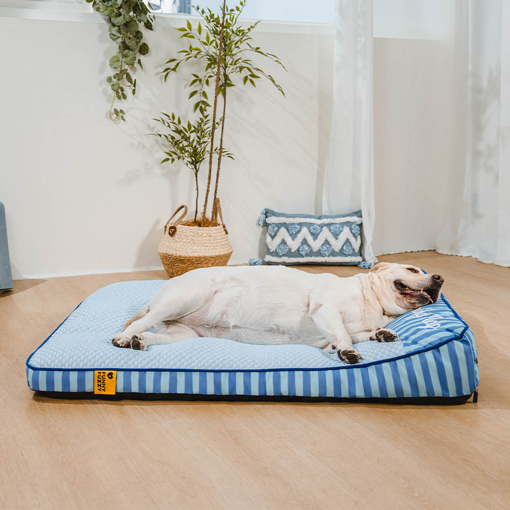 Lit Orthopédique Grand Format Rafraîchissant pour Chien Senior | Appui-Tête, Respirant, Antidérapant