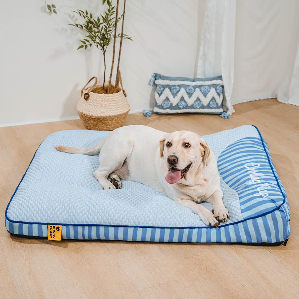 Lit Orthopédique Grand Format Rafraîchissant pour Chien Senior | Appui-Tête, Respirant, Antidérapant