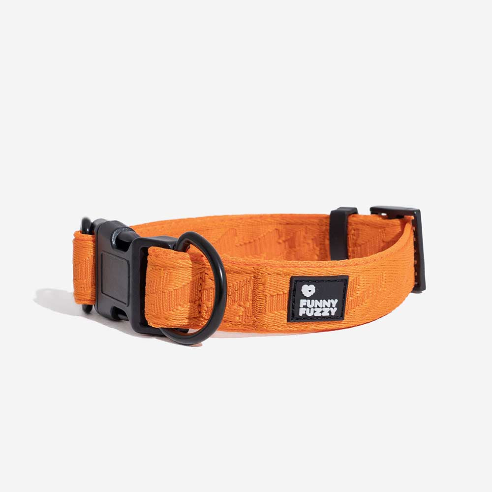 Collier Nylon Réglable pour Chien | Réfléchissant 3M, Anneau D Alu, Respirant & Résistant, Toutes Tailles