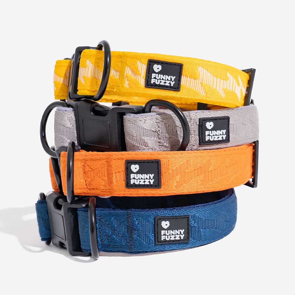 Collier Nylon Réglable pour Chien | Réfléchissant 3M, Anneau D Alu, Respirant & Résistant, Toutes Tailles
