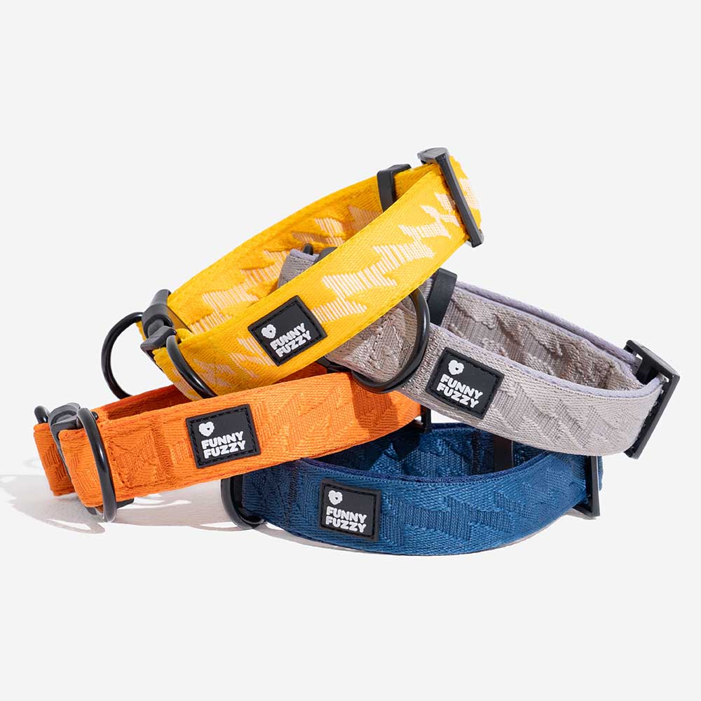 Collier Nylon Réglable pour Chien | Réfléchissant 3M, Anneau D Alu, Respirant & Résistant, Toutes Tailles