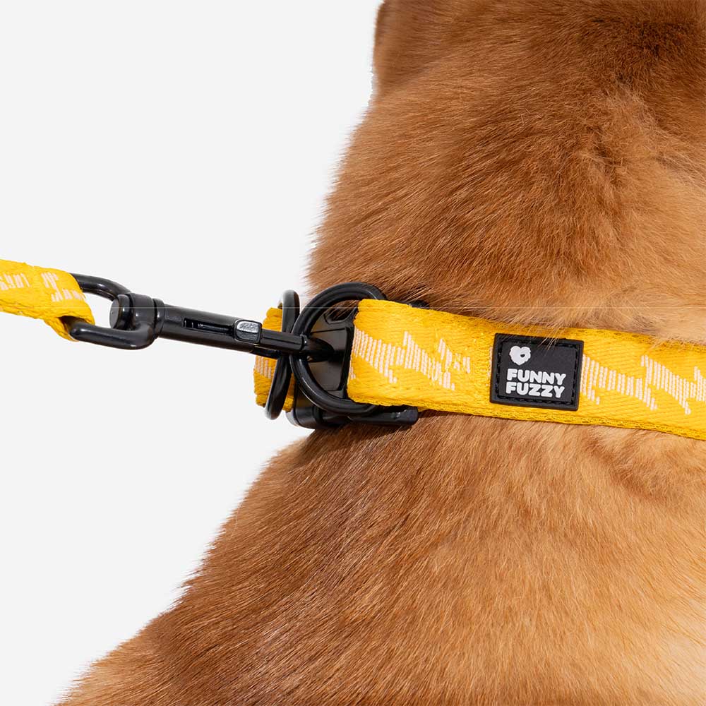 Collier Nylon Réglable pour Chien | Réfléchissant 3M, Anneau D Alu, Respirant & Résistant, Toutes Tailles