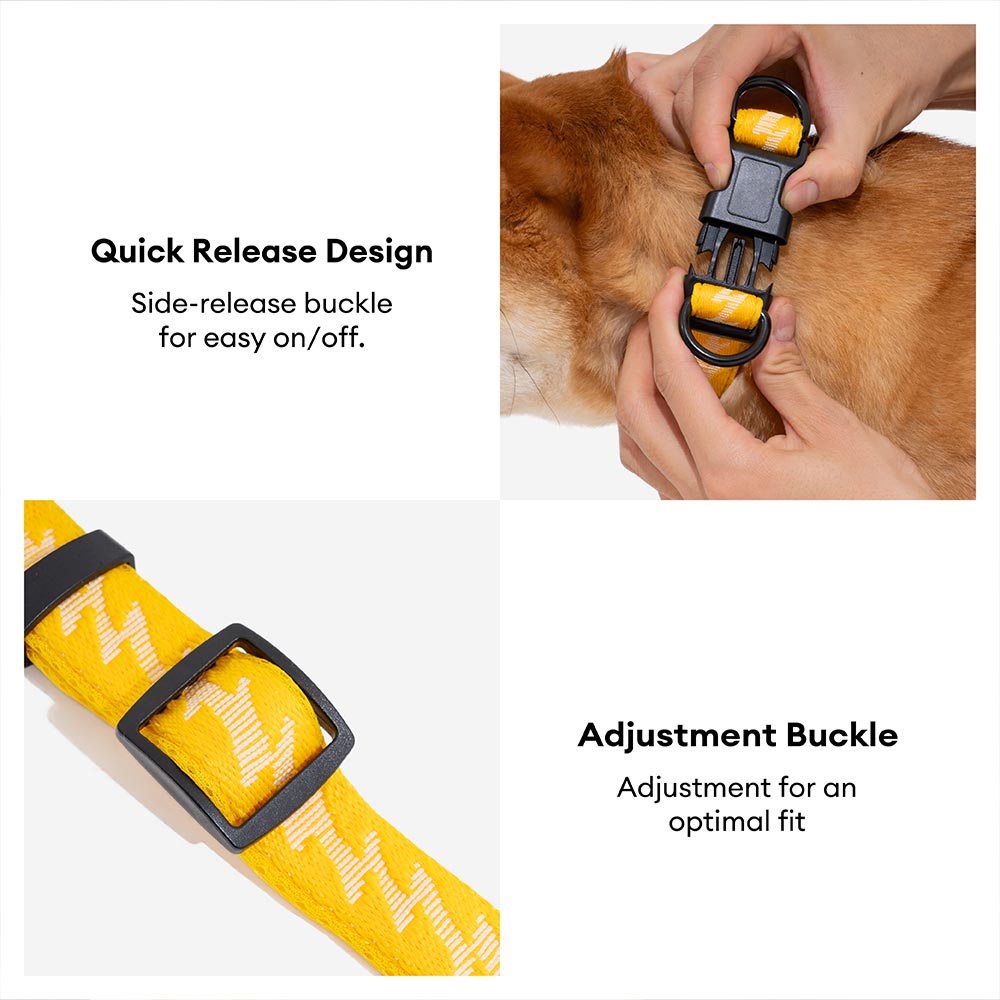 Collier Nylon Réglable pour Chien | Réfléchissant 3M, Anneau D Alu, Respirant & Résistant, Toutes Tailles