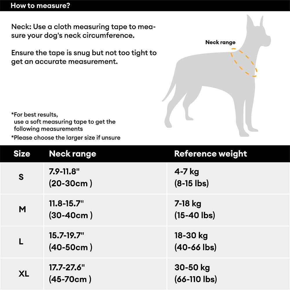 Collier Nylon Réglable pour Chien | Réfléchissant 3M, Anneau D Alu, Respirant & Résistant, Toutes Tailles