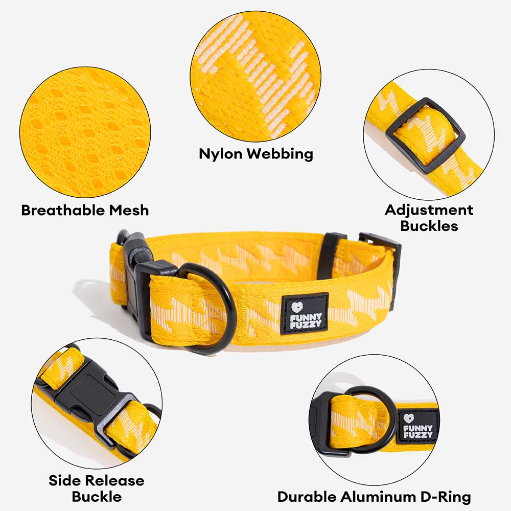 Collier Nylon Réglable pour Chien | Réfléchissant 3M, Anneau D Alu, Respirant & Résistant, Toutes Tailles