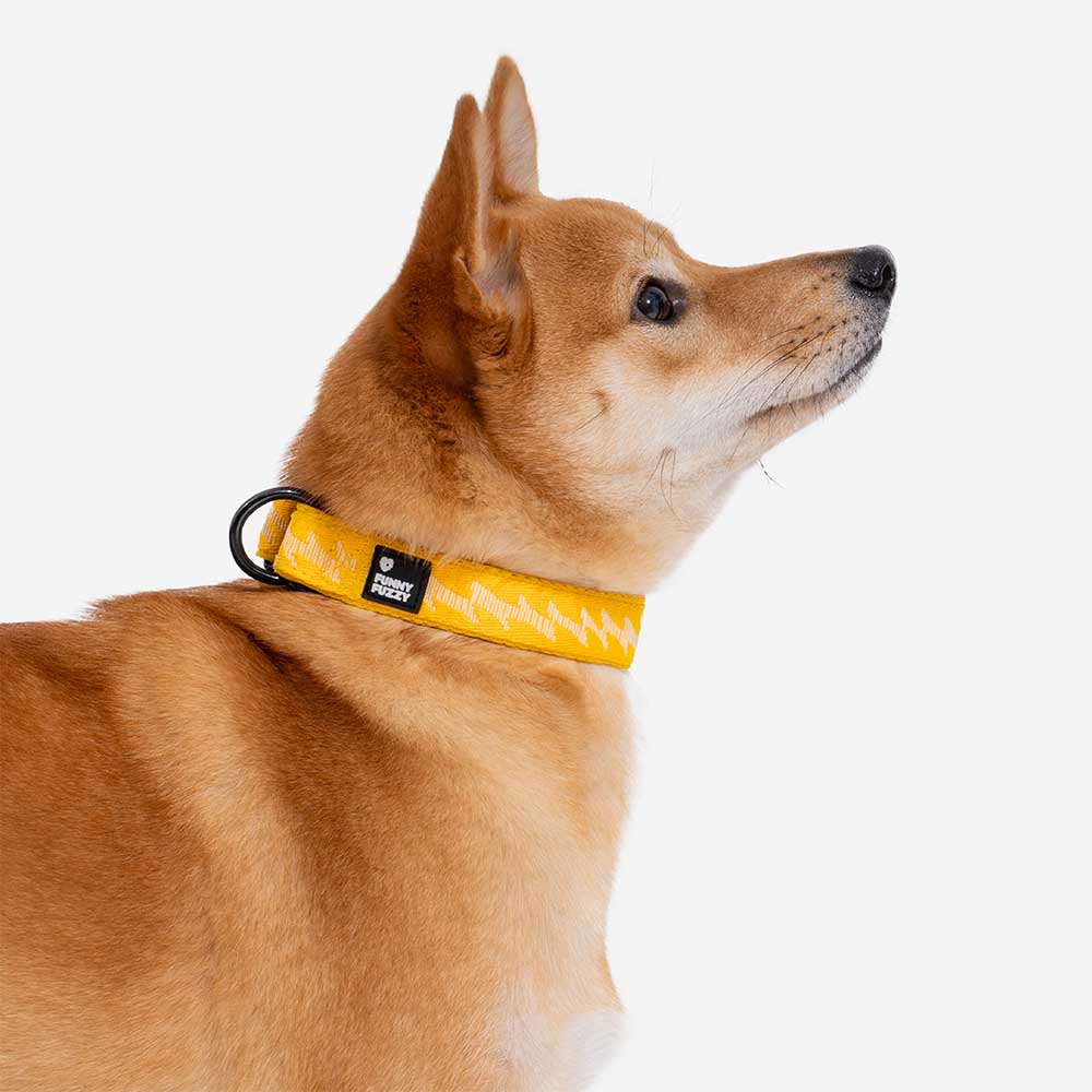 Collier Nylon Réglable pour Chien | Réfléchissant 3M, Anneau D Alu, Respirant & Résistant, Toutes Tailles