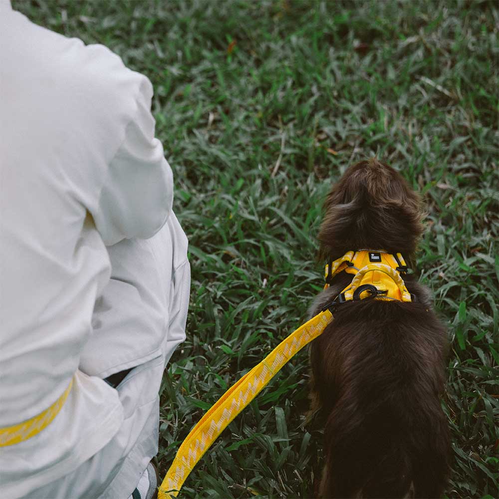 Harnais Léger Réfléchissant 3M pour Chien | Réglable 4 Points, Poignée, Respirant, du Chiot au Grand Chien