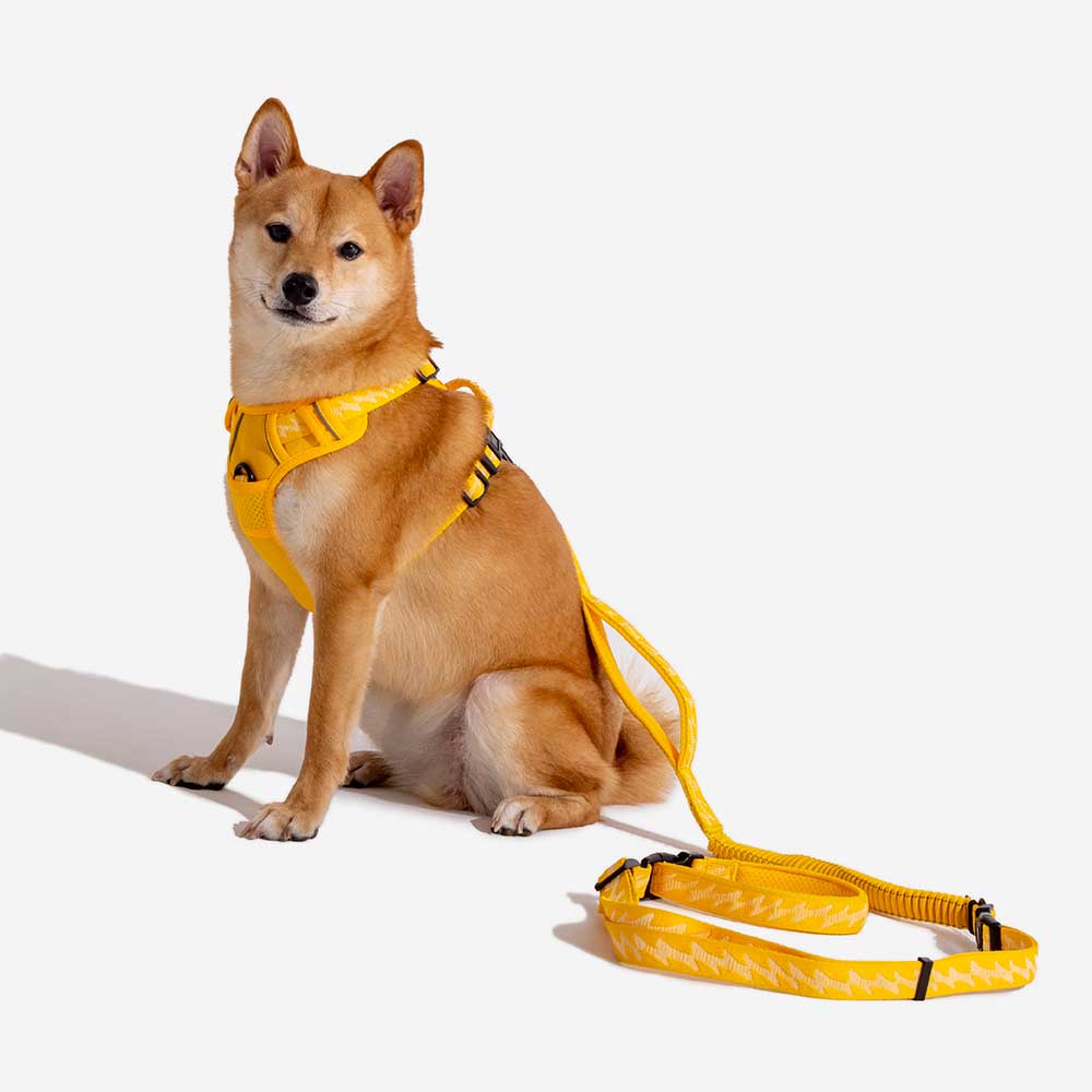 Harnais Léger Réfléchissant 3M pour Chien | Réglable 4 Points, Poignée, Respirant, du Chiot au Grand Chien