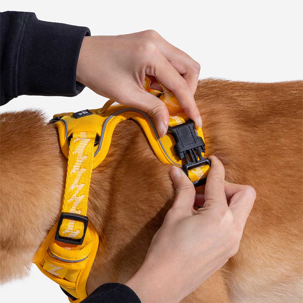 Harnais Léger Réfléchissant 3M pour Chien | Réglable 4 Points, Poignée, Respirant, du Chiot au Grand Chien