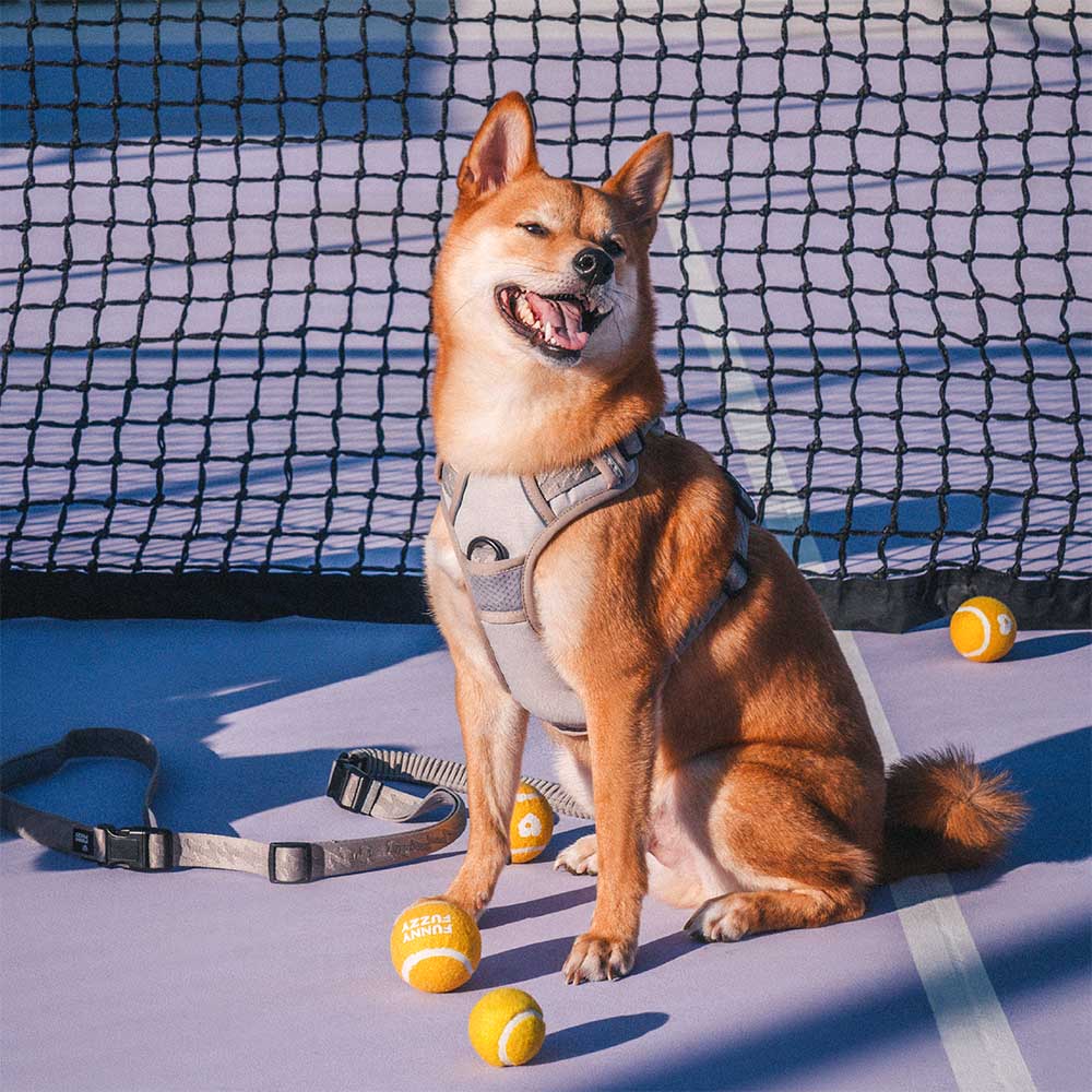 Harnais Léger Réfléchissant 3M pour Chien | Réglable 4 Points, Poignée, Respirant, du Chiot au Grand Chien