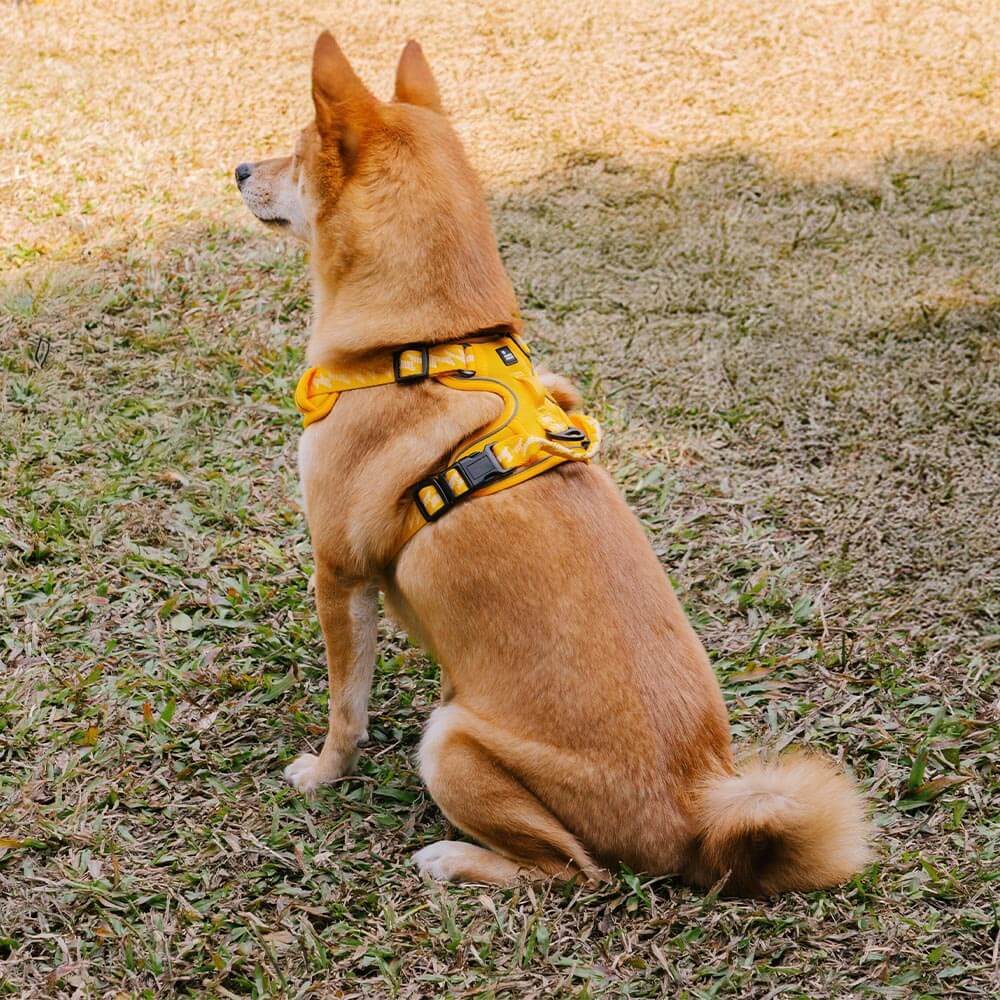 Harnais Léger Réfléchissant 3M pour Chien | Réglable 4 Points, Poignée, Respirant, du Chiot au Grand Chien