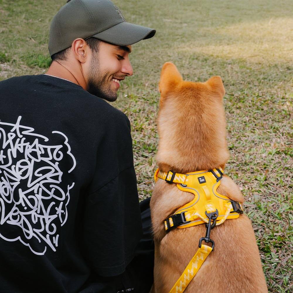 Harnais Léger Réfléchissant 3M pour Chien | Réglable 4 Points, Poignée, Respirant, du Chiot au Grand Chien