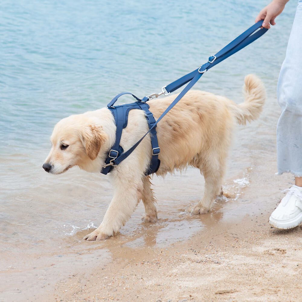 Laisse Imperméable Gummy pour Chien | Plage, Pluie & Baignade, Nettoyage Facile, Couleurs Été
