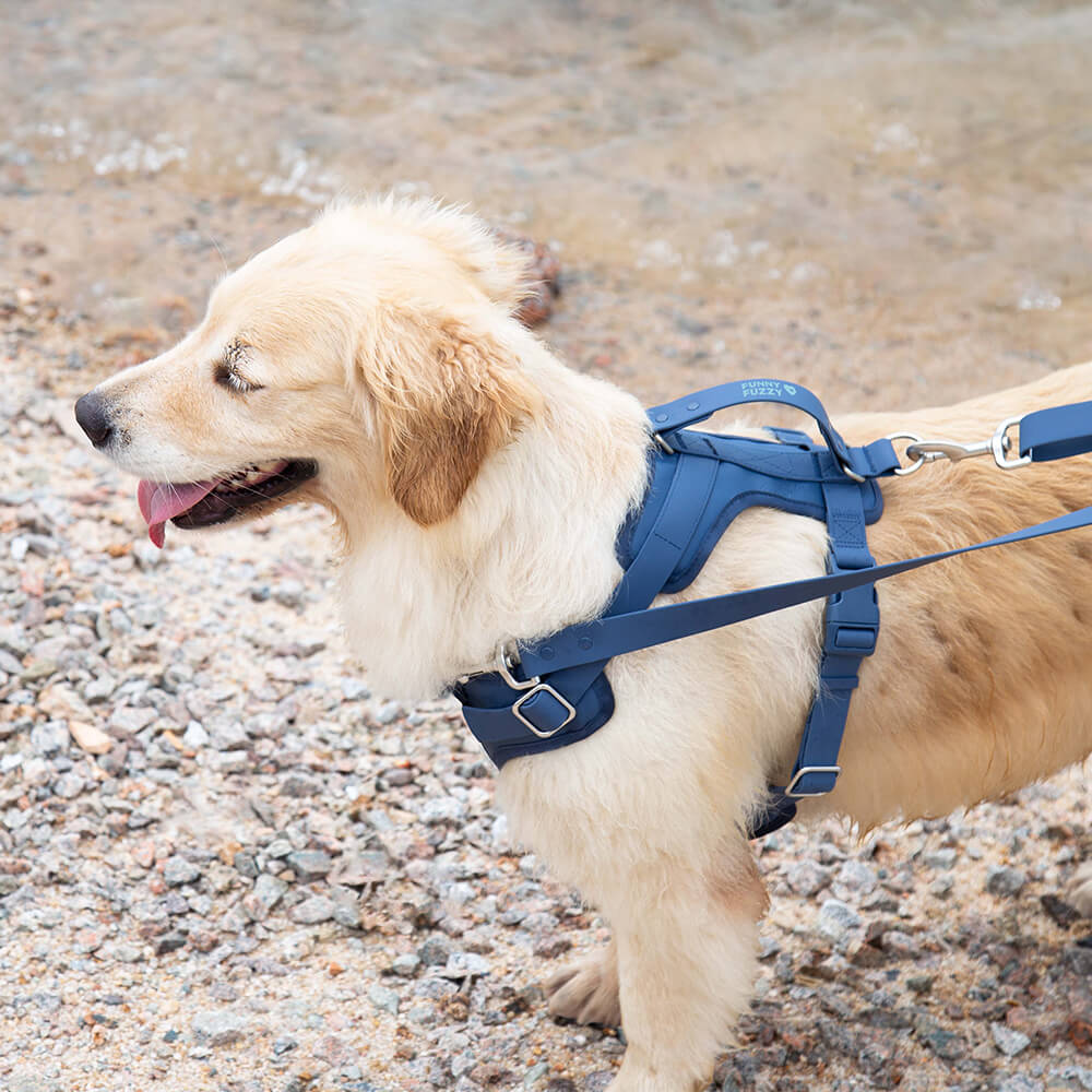 Harnais Imperméable Gummy pour Chien | Antibactérien, Anti-Traction, Plage & Baignade, Nettoyage Facile