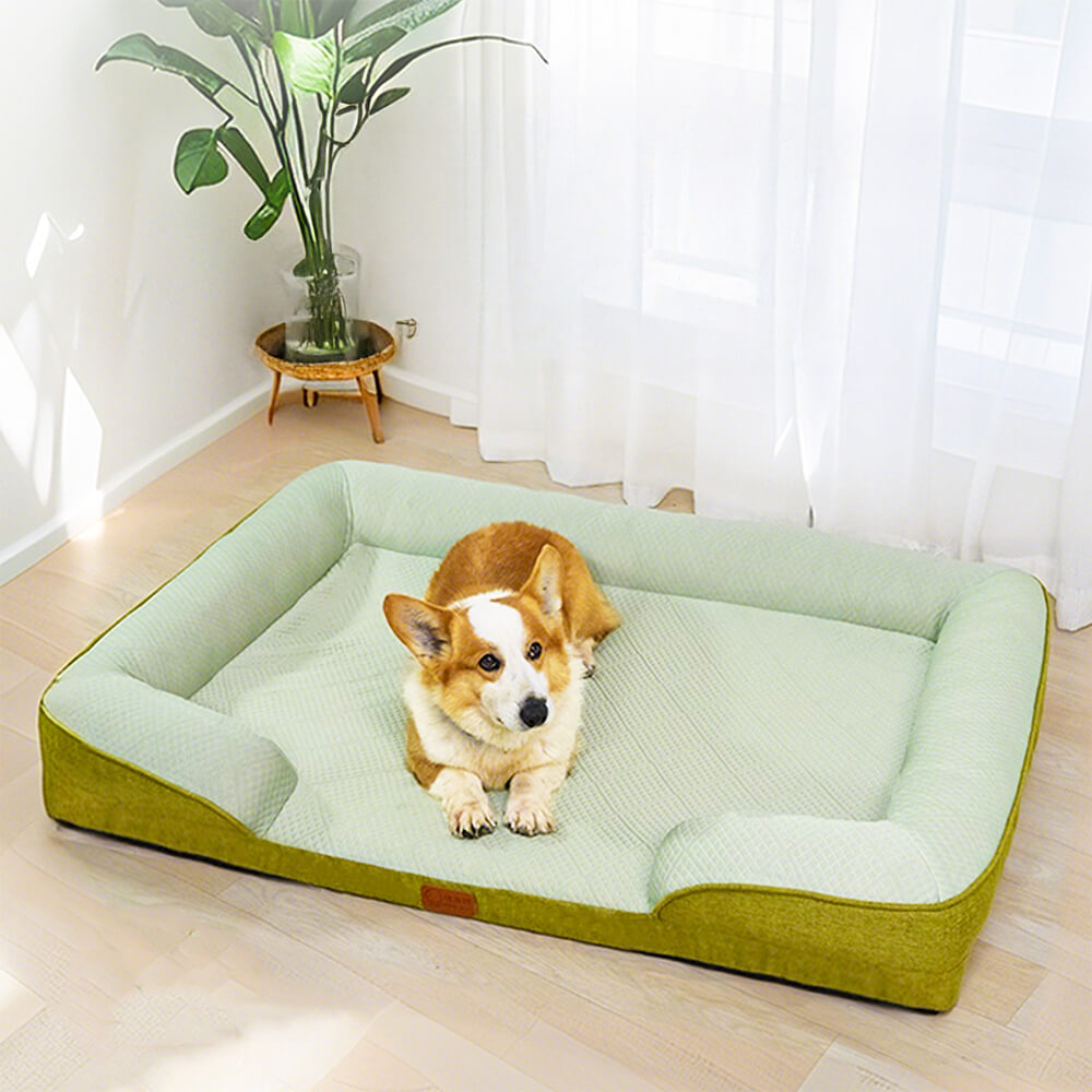 Grand Sofa Orthopédique Rafraîchissant pour Chien | Rebords Bolster, Respirant, Multi-Chiens, Lavable