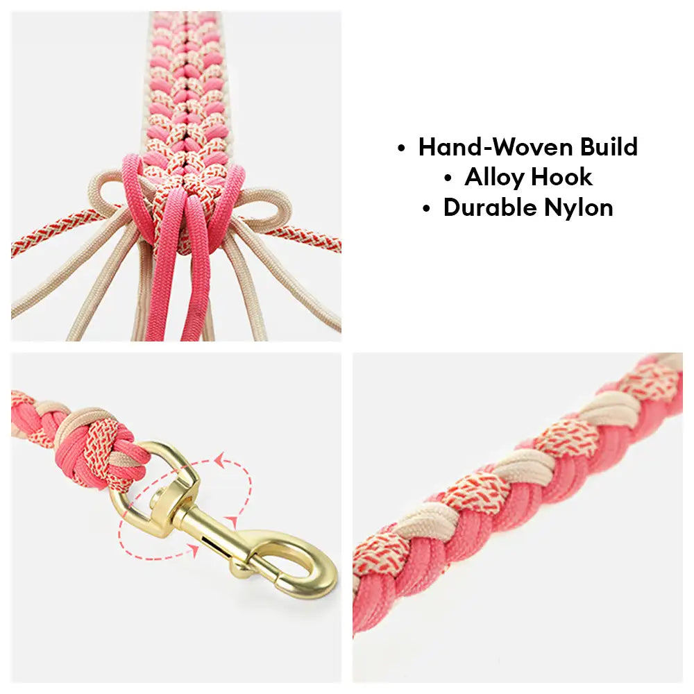 Laisse Nylon Tissée Main Renforcée | Chien Moyen & Grand, Poignée Confort, Robuste, Balades Quotidiennes