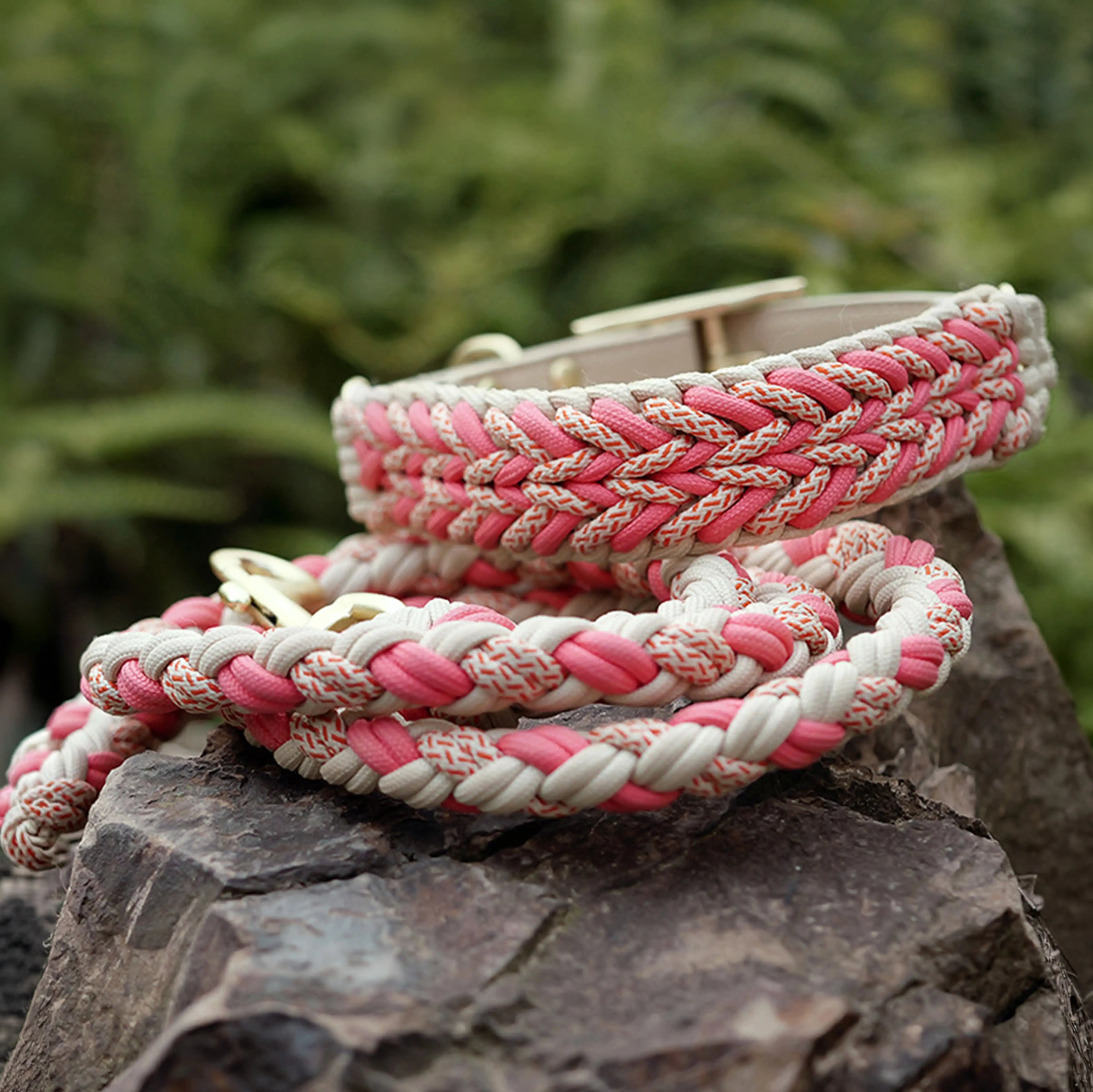 Laisse Nylon Tissée Main Renforcée | Chien Moyen & Grand, Poignée Confort, Robuste, Balades Quotidiennes