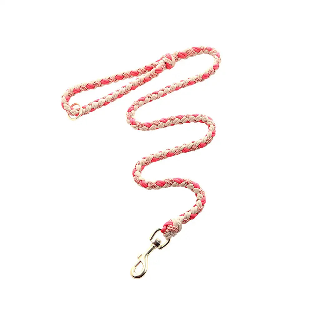 Laisse Nylon Tissée Main Renforcée | Chien Moyen & Grand, Poignée Confort, Robuste, Balades Quotidiennes