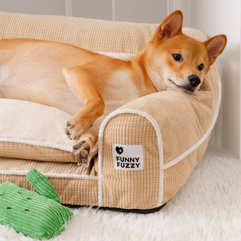 Sofa Flanelle Double Couche Orthopédique pour Chien | Accoudoirs Rembourrés, Chic, Lavable