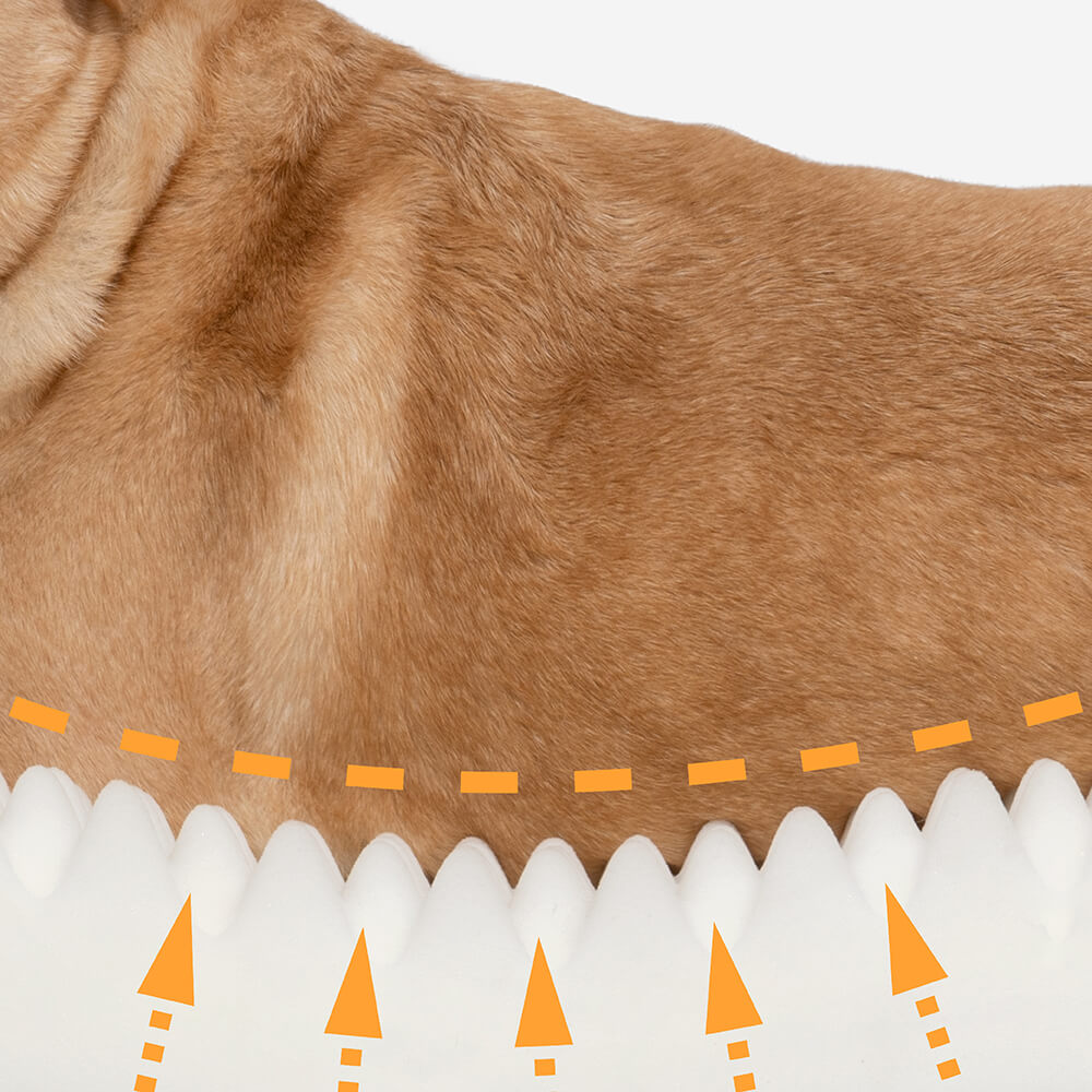 Lit Orthopédique Support Intégral pour Chien | Mousse Mémoire de Forme, Antidérapant, Toutes Tailles