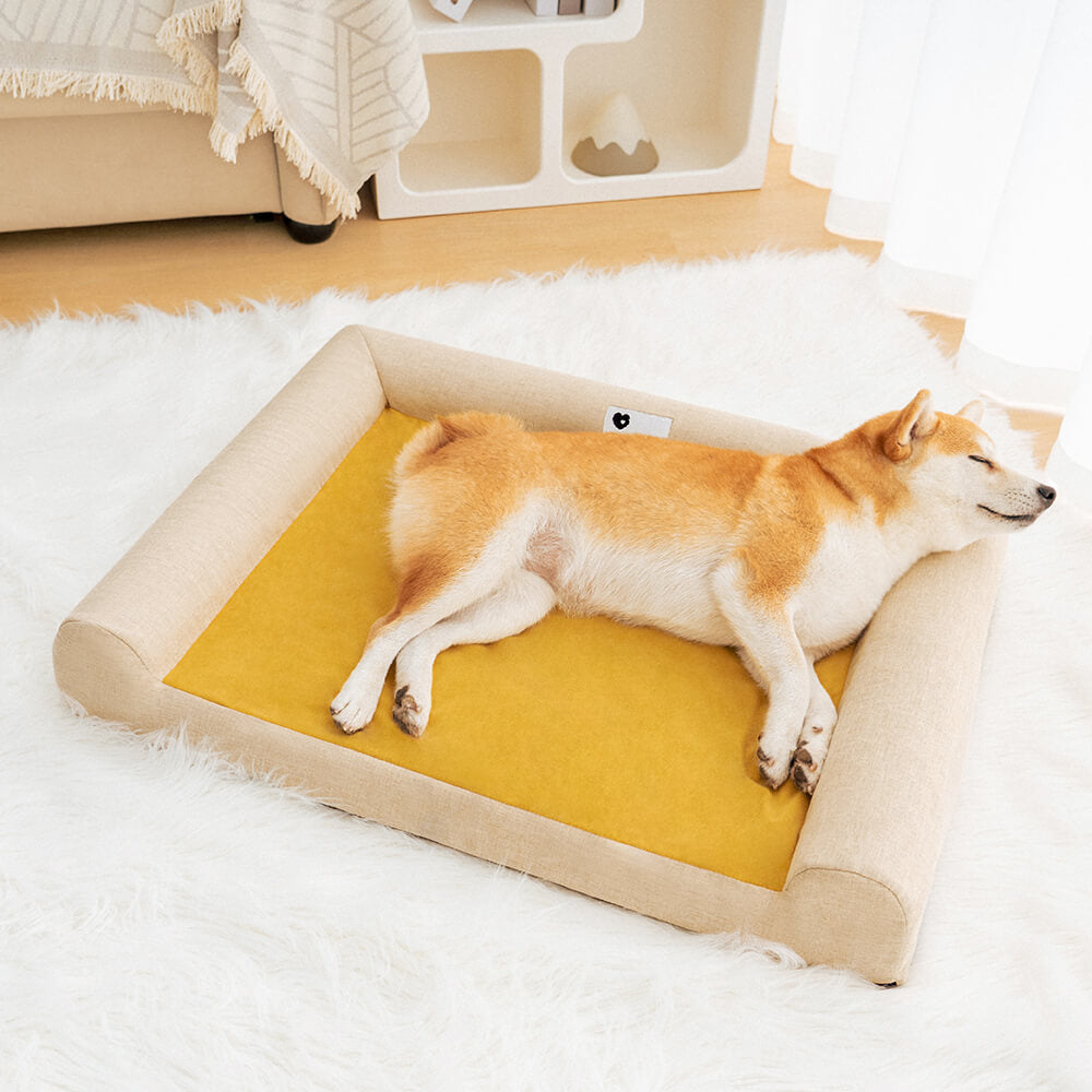 Lit Orthopédique Support Intégral pour Chien | Mousse Mémoire de Forme, Antidérapant, Toutes Tailles