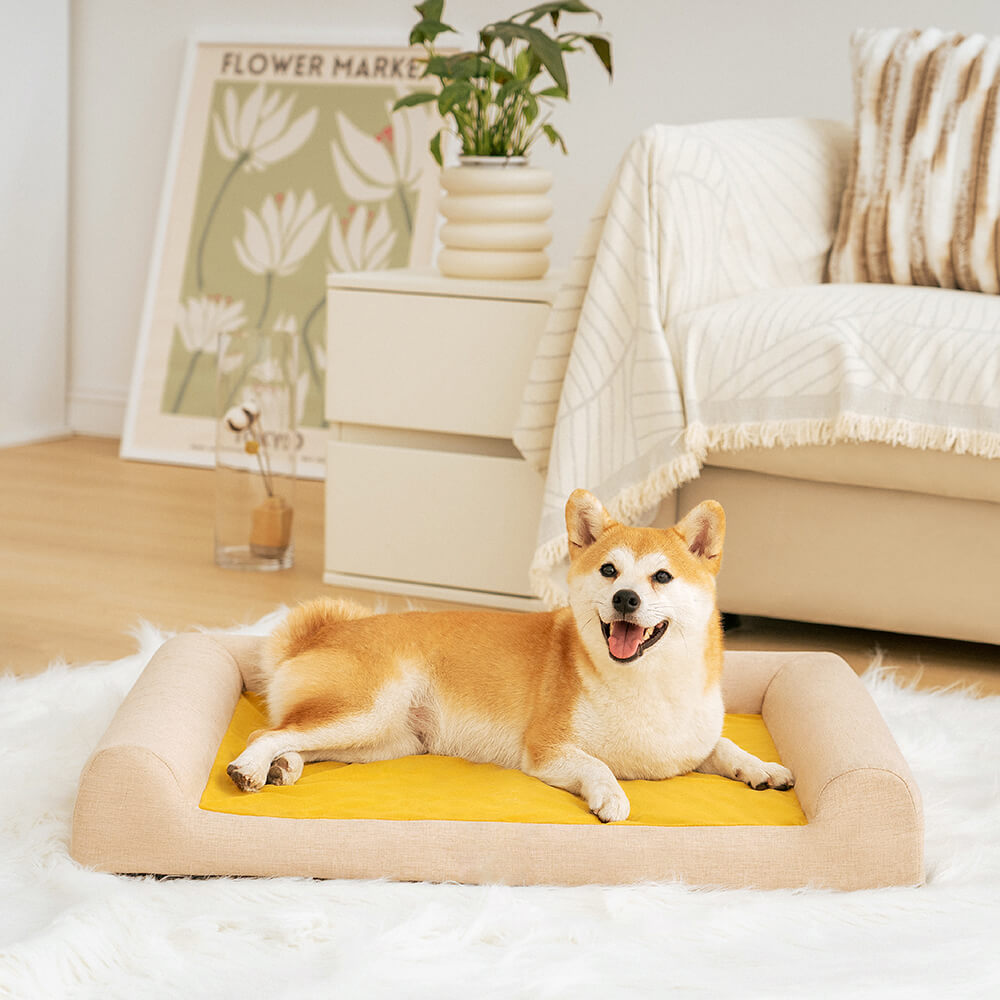 Lit Orthopédique Support Intégral pour Chien | Mousse Mémoire de Forme, Antidérapant, Toutes Tailles