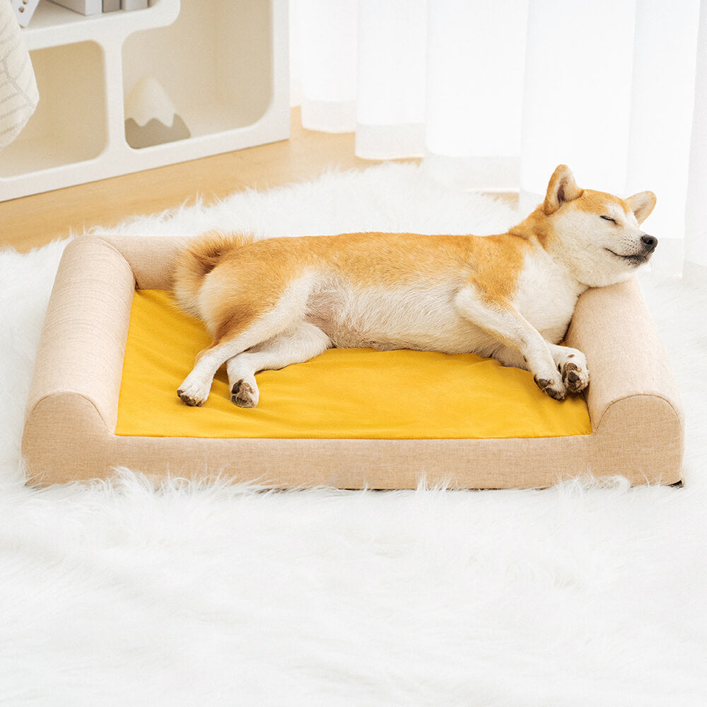 Lit Orthopédique Support Intégral pour Chien | Mousse Mémoire de Forme, Antidérapant, Toutes Tailles