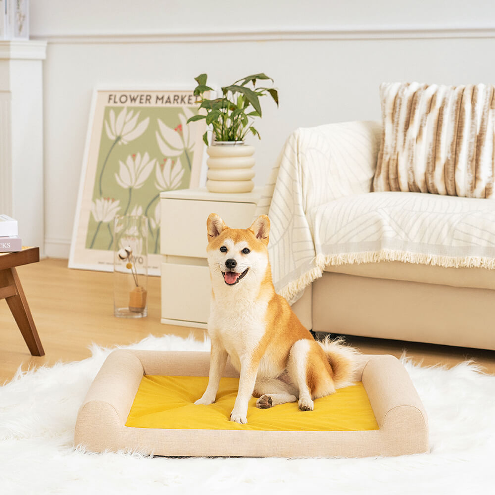 Lit Orthopédique Support Intégral pour Chien | Mousse Mémoire de Forme, Antidérapant, Toutes Tailles