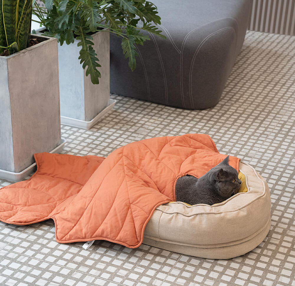 Lit Donut Moelleux pour Chien | Rembourrage 3D, Enveloppant, Lavable, Toutes Tailles