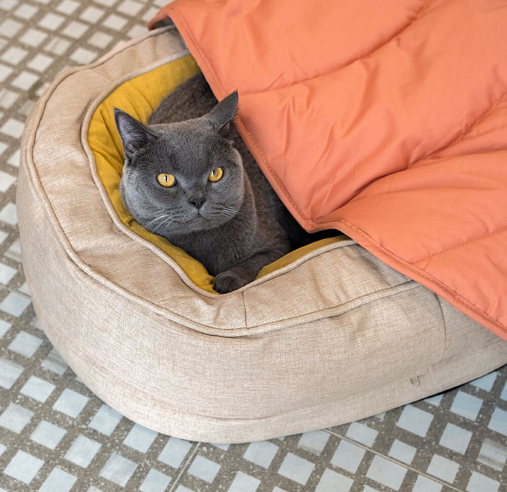 Lit Donut Moelleux pour Chien | Rembourrage 3D, Enveloppant, Lavable, Toutes Tailles