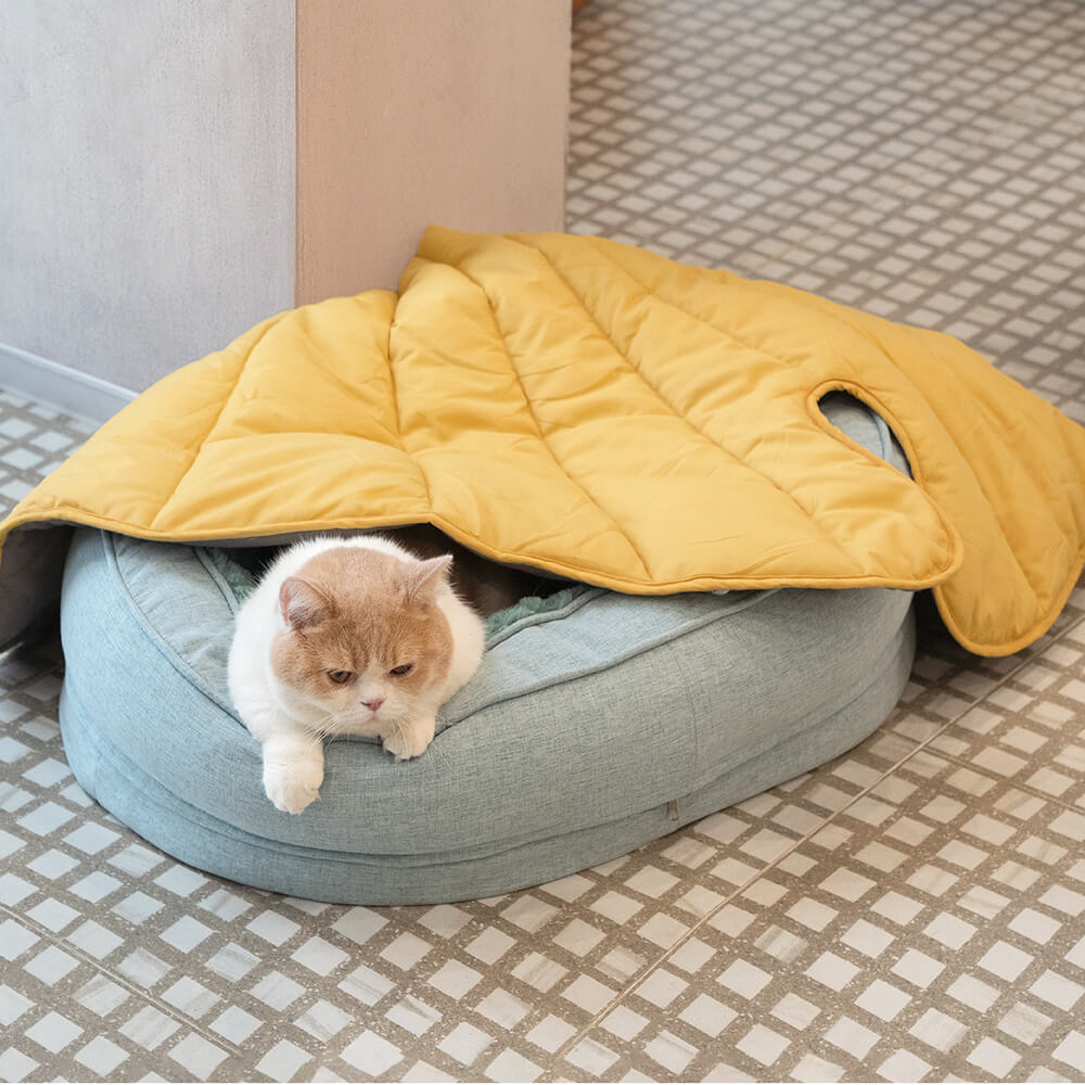Lit Donut Moelleux pour Chien | Rembourrage 3D, Enveloppant, Lavable, Toutes Tailles