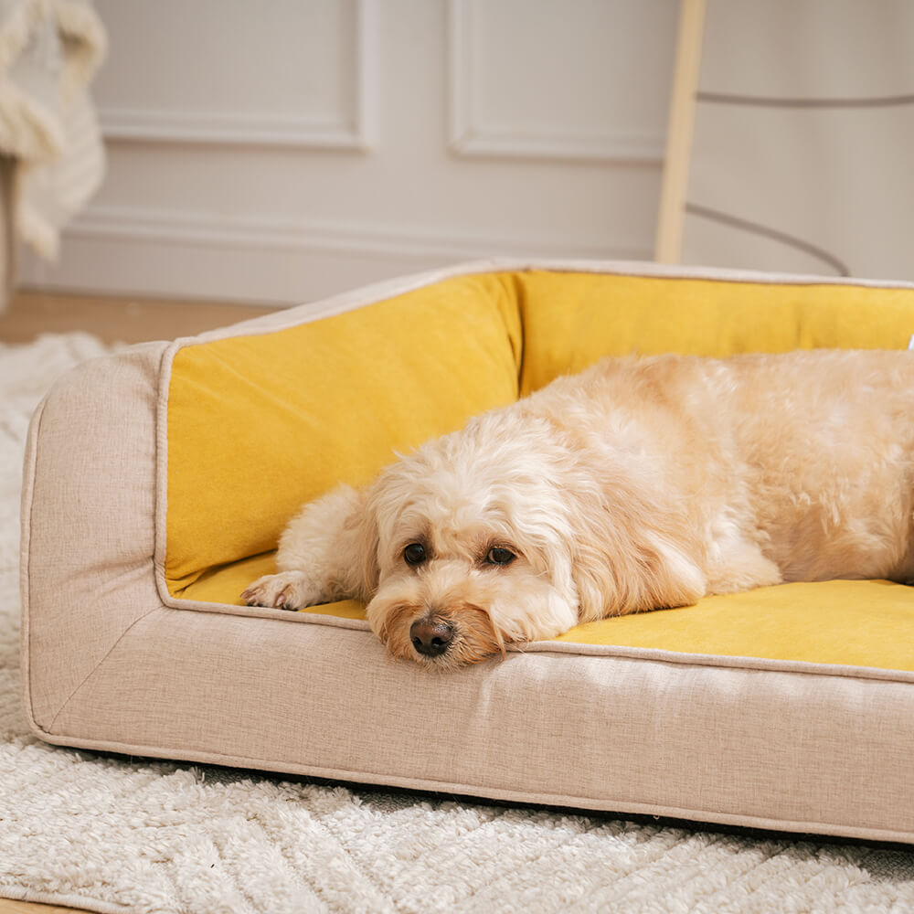 Sofa Lounge Orthopédique Complet pour Chien | Coussins Moelleux, Polaire, Antidérapant