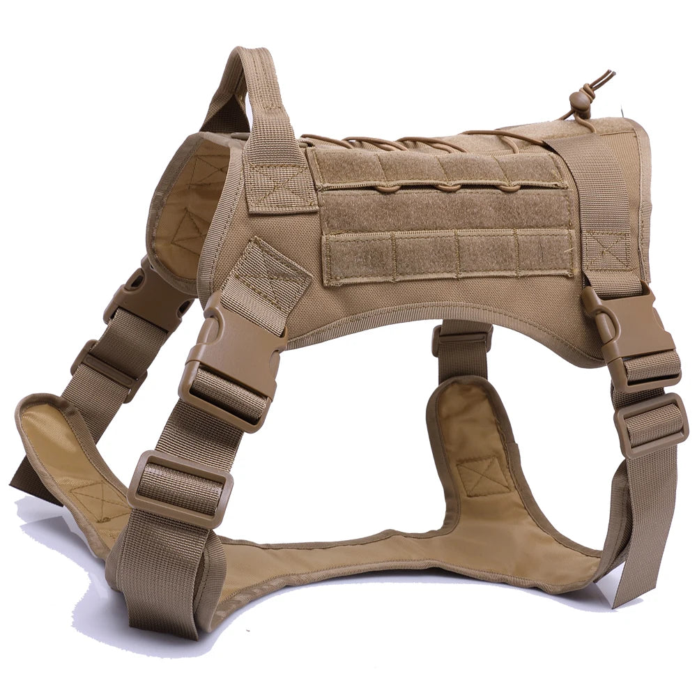 Kit Harnais Tactique Chien + Laisse & Collier | Nylon 1000D, MOLLE, Poignée, Éducation, Marche & Chasse