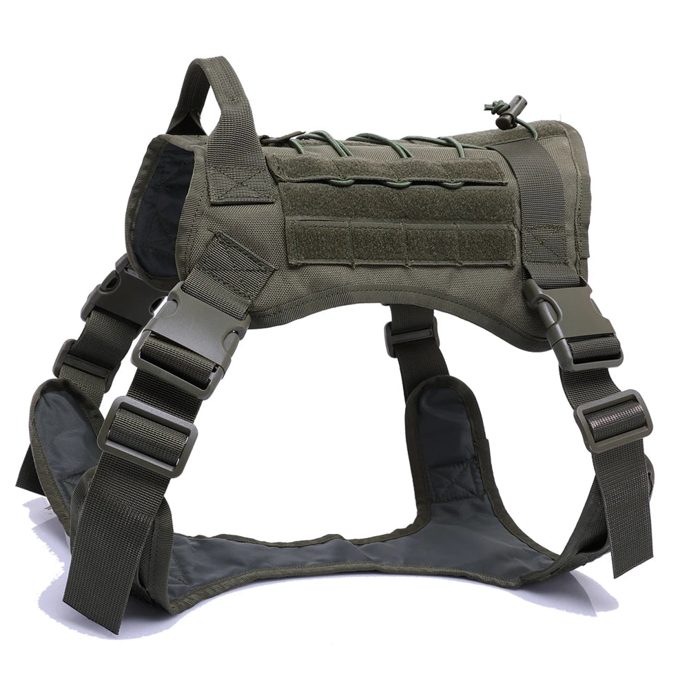 Kit Harnais Tactique Chien + Laisse & Collier | Nylon 1000D, MOLLE, Poignée, Éducation, Marche & Chasse