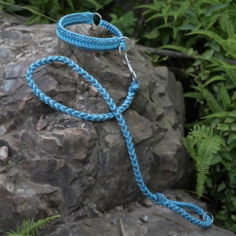 Collier Phosphorescent Tressé Main Grand Chien | Anti-Traction, Visible la Nuit, Nylon Renforcé, S à 2XL