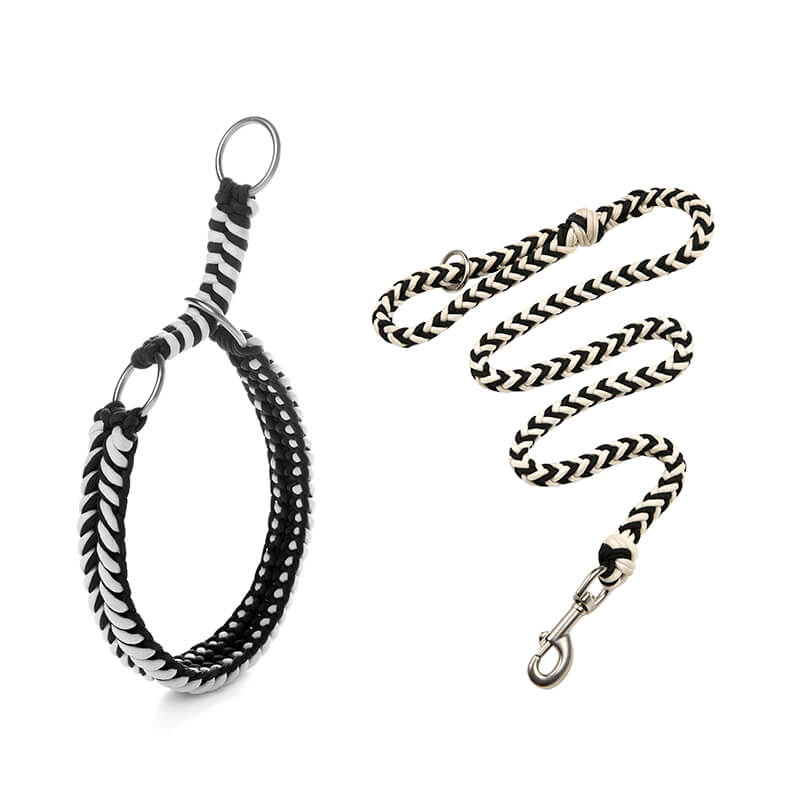 Collier Phosphorescent Tressé Main Grand Chien | Anti-Traction, Visible la Nuit, Nylon Renforcé, S à 2XL