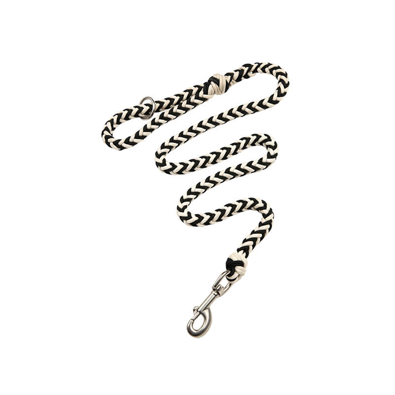 Collier Phosphorescent Tressé Main Grand Chien | Anti-Traction, Visible la Nuit, Nylon Renforcé, S à 2XL