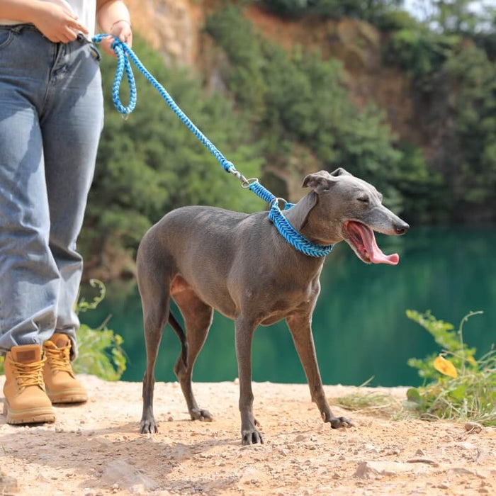 Collier Phosphorescent Tressé Main Grand Chien | Anti-Traction, Visible la Nuit, Nylon Renforcé, S à 2XL