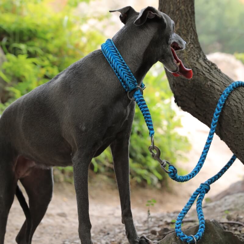 Collier Phosphorescent Tressé Main Grand Chien | Anti-Traction, Visible la Nuit, Nylon Renforcé, S à 2XL
