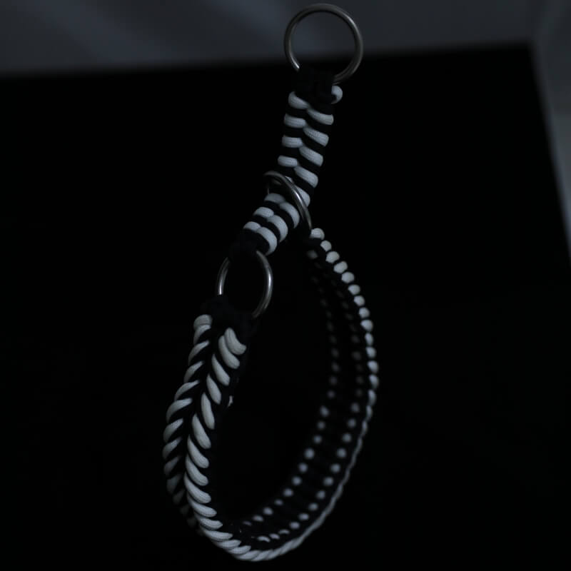 Collier Phosphorescent Tressé Main Grand Chien | Anti-Traction, Visible la Nuit, Nylon Renforcé, S à 2XL