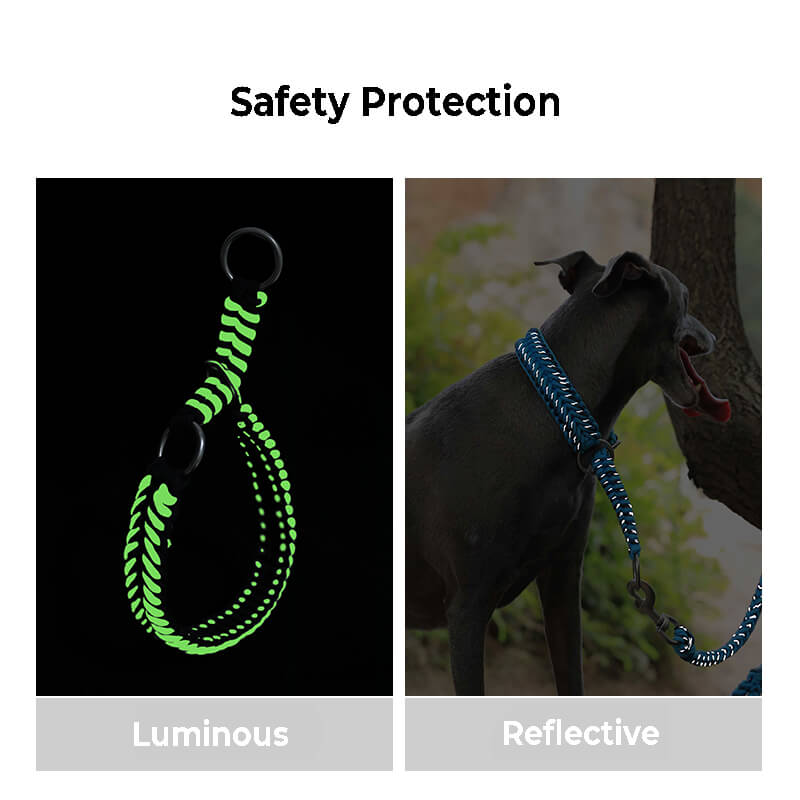 Collier Phosphorescent Tressé Main Grand Chien | Anti-Traction, Visible la Nuit, Nylon Renforcé, S à 2XL